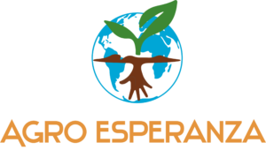 LOGO PRINCIPAL VARIACAO SEM FUNDO Scaled 300x170